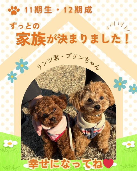 トライアル&卒業