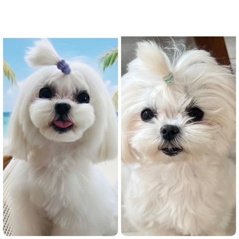 26-02-28-11-31-14-883_deco