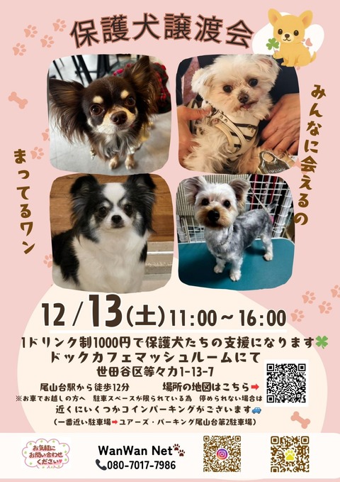 ホームページ掲載画像_20251207_152753_0000