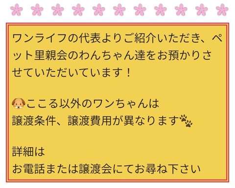 Screenshot_20251203_195715_Chrome