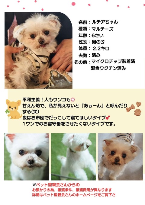 ホームページ掲載画像_20251207_135944_0000