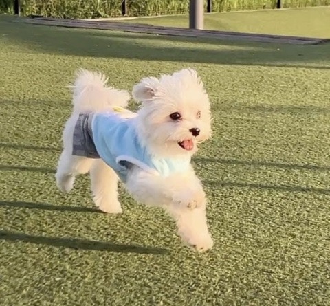 Screenshot_20251016_101858_Ameba