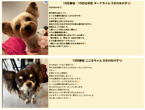 スクリーンショット 2026-04-15 125220