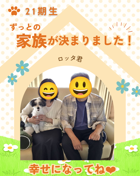 卒業犬_20260512_134741_0000