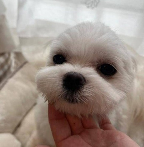 Screenshot_20251025_182005_Ameba