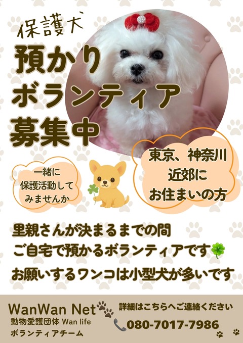 里親_20251123_015742_0000