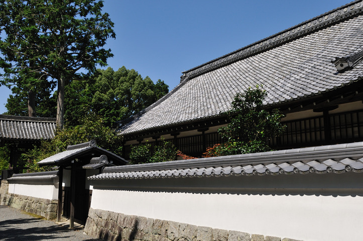 D300_23486 XGA