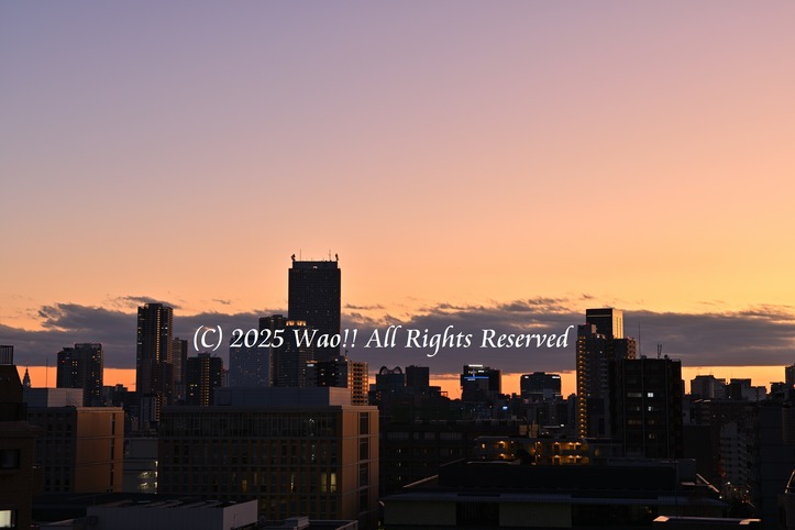 DSC_2986_261DSC_2986_3000C