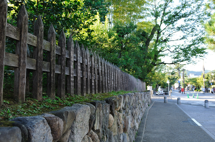 D300_23414 XGA