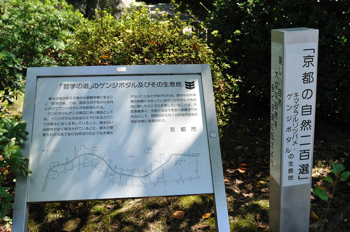 D300_23472 XGA