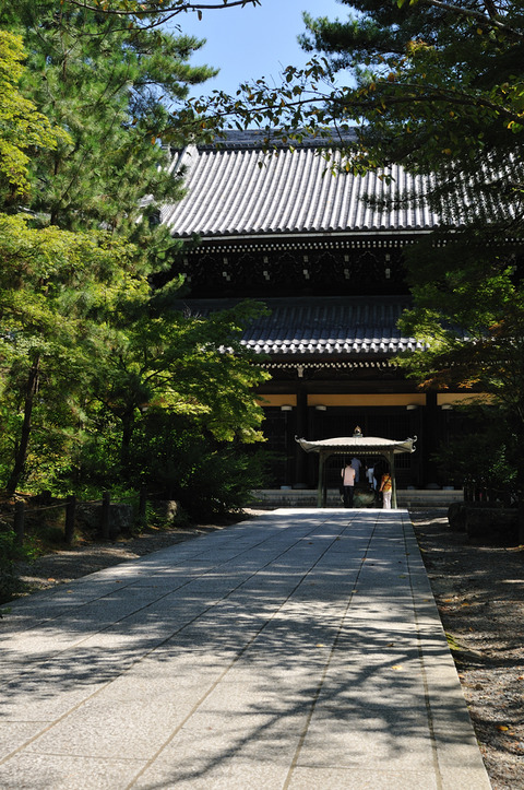 D300_23510 XGA
