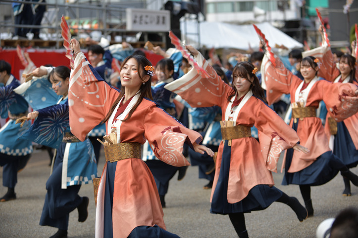 DSC_1316_030DSC_1316_1920