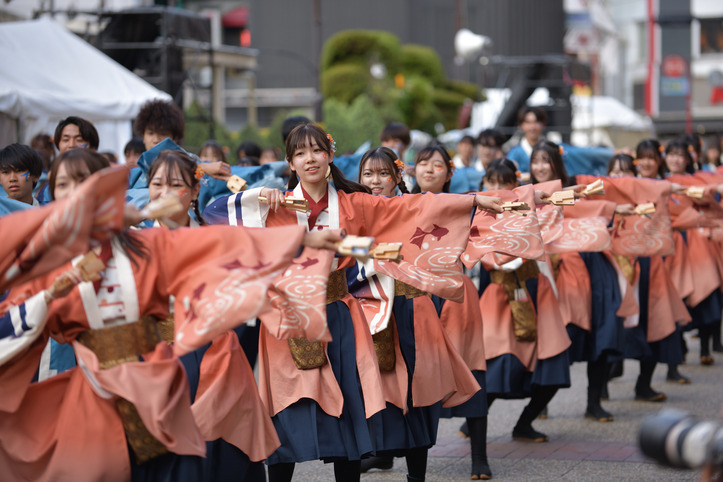 DSC_1374_036DSC_1374_1920