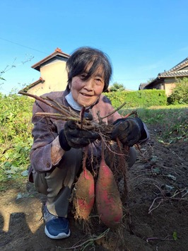 �礭�ʤ���Ǥ���