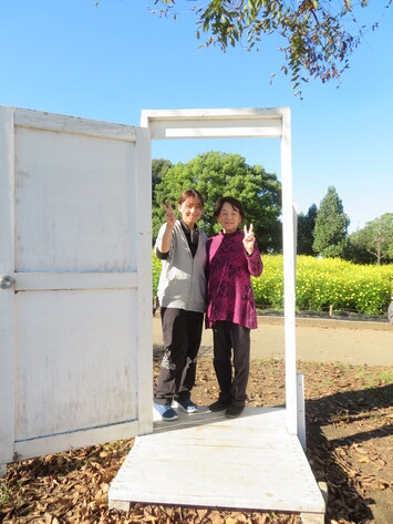 �ɤ��Ǥ�ɥ�����