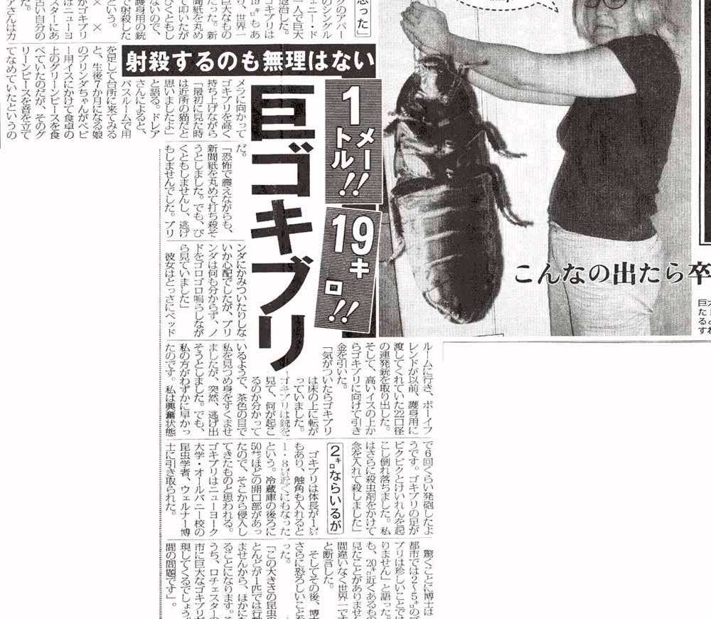 巨大ゴキブリ Wara 巨大ゴキブリ Wara