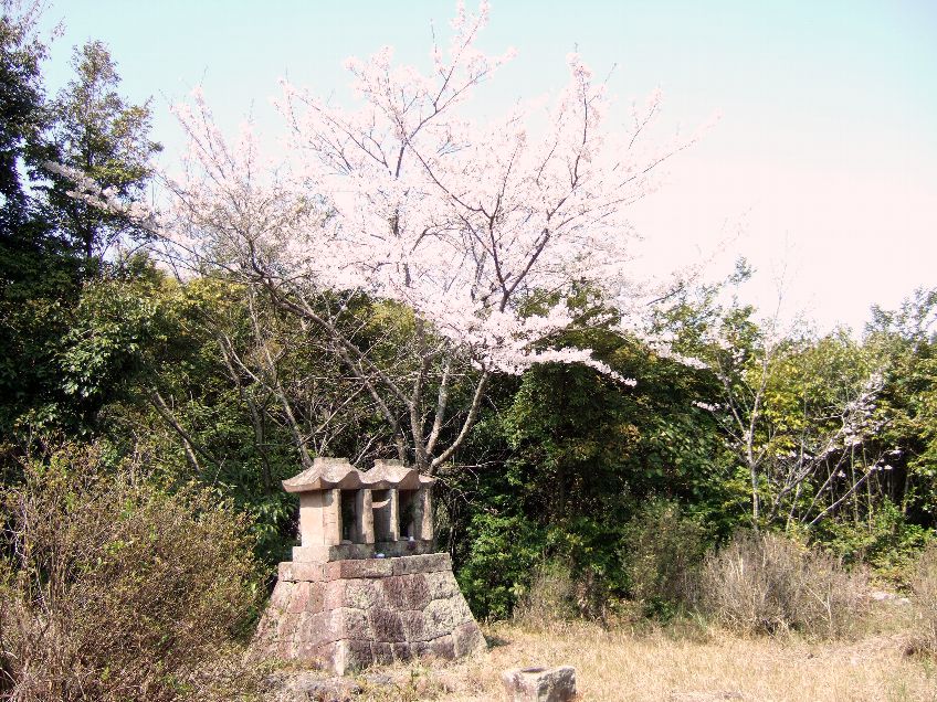 いよいよ本題の阿蘇ピンク石（馬門石）調査の顛末について語りましょう
