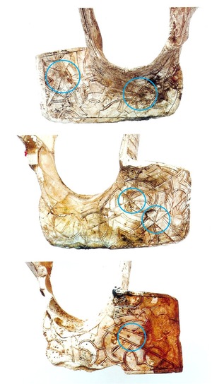 ��������⻳����