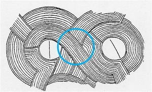 �ޣ�����