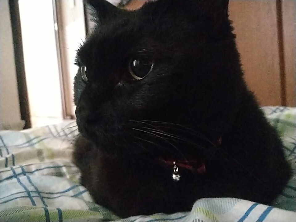 楽しい週末を 美和のブログ