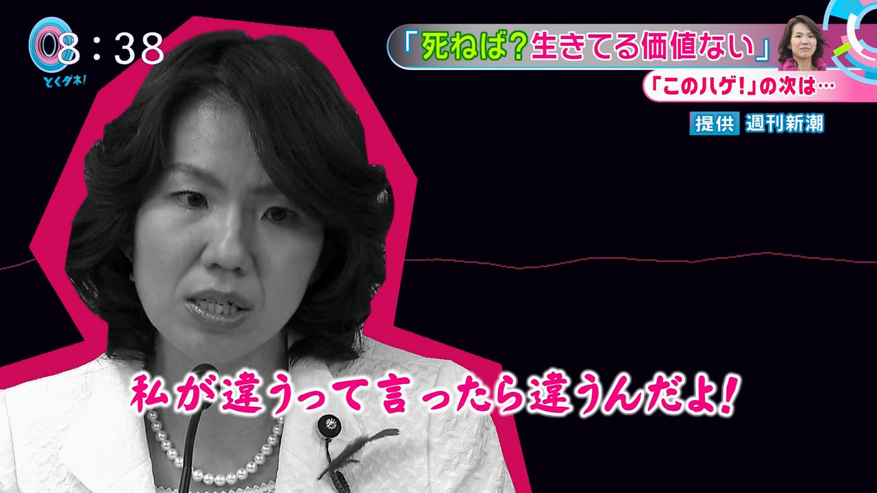 豊田真由子語録で好きなやつ言ってけ