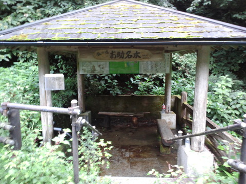 CA3J0335