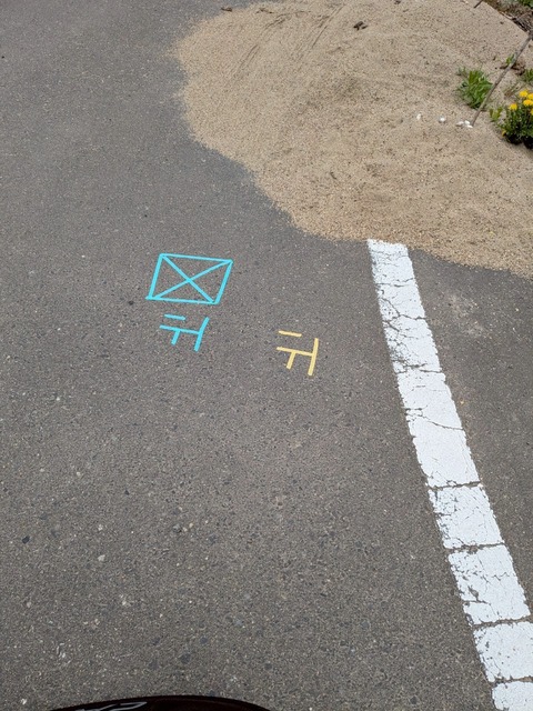 LINE_ALBUM_2025春だ2回目!ワラガイ祭り_250505_5