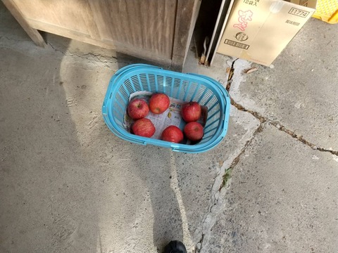 7769
