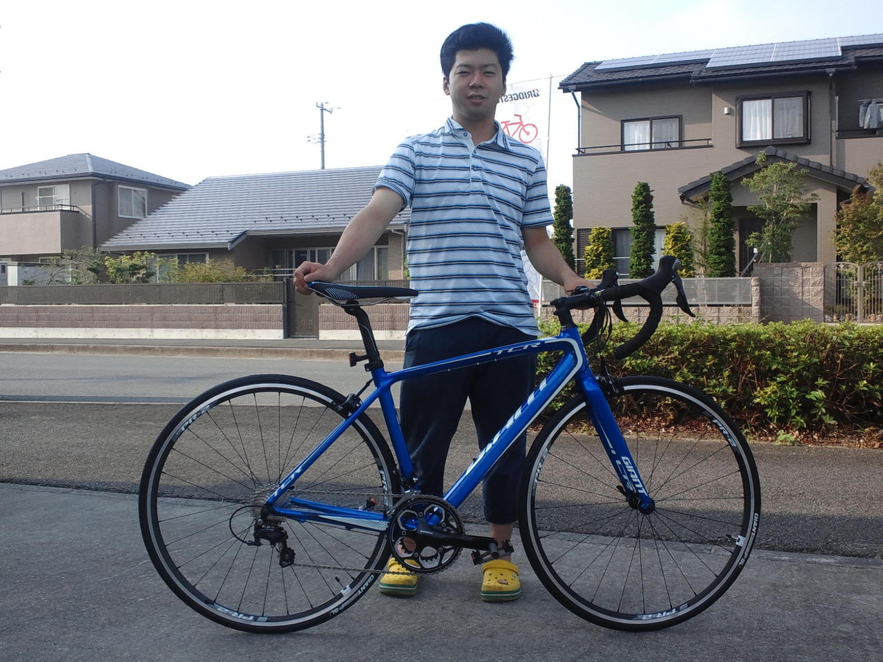 GIANT TCR0 ブルー2016 : サイクルショップ ワラガイ
