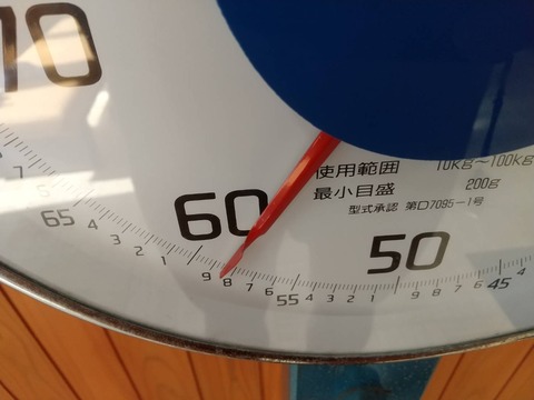 7951