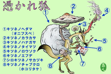 きのこ妖怪の森 きのこ妖怪 きのこ妖怪の森 きのこ妖怪