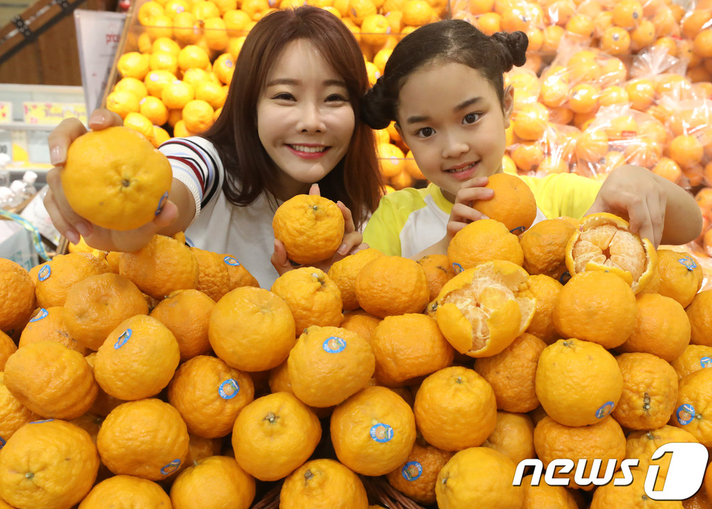 笑 韓 ブログ 【韓国】糖度が高いゴールドナゲット・オレンジ召し上がれ（写真）