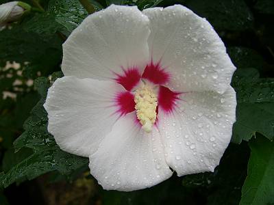20131014203455_134_1