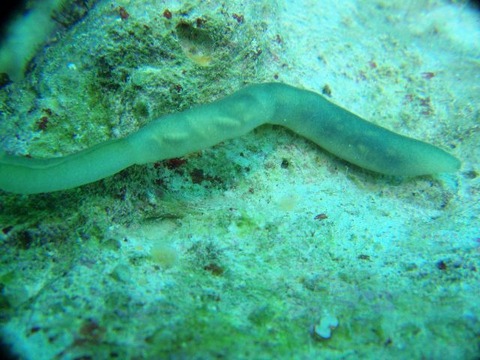 20101203231541_64_2
