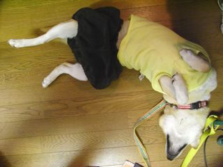 20120519003538_184_1