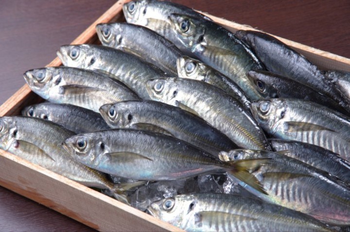 笑 韓 ブログ : 【鯵・鰺】意外！？日本では大人気なのに韓国ではほとんど食べられない魚