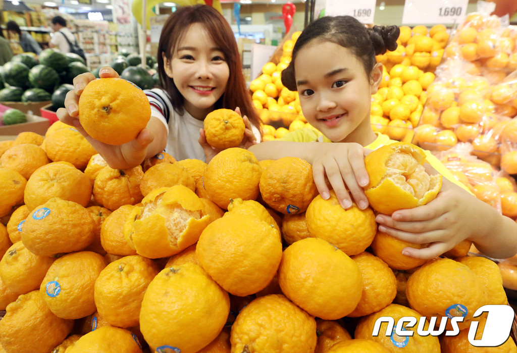 笑 韓 ブログ 【韓国】糖度が高いゴールドナゲット・オレンジ召し上がれ（写真）