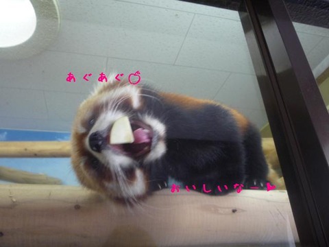 20111030062411_444_1