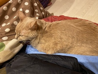 404AADCF-36AF-4969-8E0D-9B80177773EA