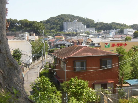 CIMG2208