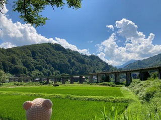 IMG_0475