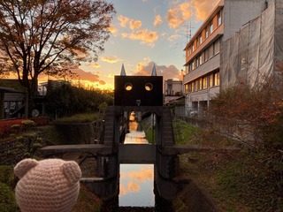 IMG_8455