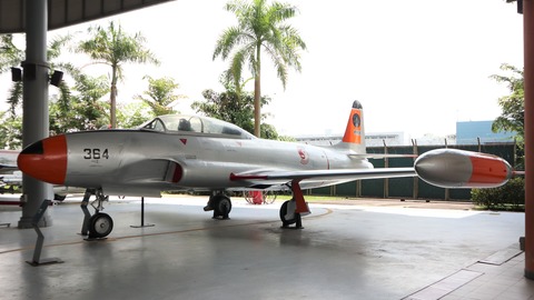 T-33