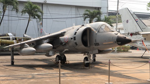 Harrier