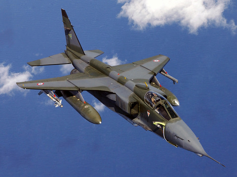 Jaguar_DF-SD-05-05511