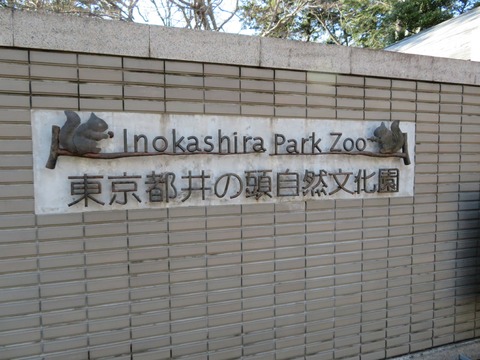 20180301150826_IMG_0118