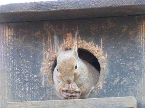 20180301153148_IMG_0197