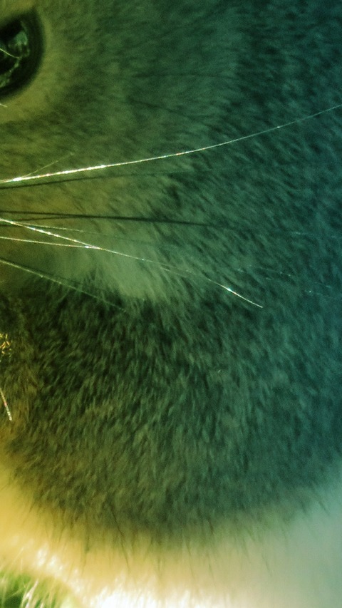 20180301152635_IMG_0181