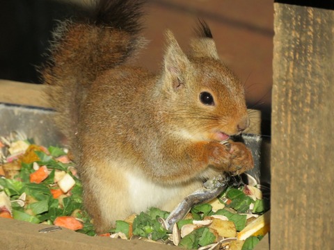 20180301153055_IMG_0193