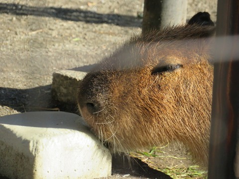 20180301151622_IMG_0139